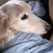 ヒメ日記 2024/12/25 19:22 投稿 かほ Charme（シャルム）