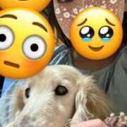 ヒメ日記 2024/12/29 16:42 投稿 かほ Charme（シャルム）