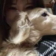 ヒメ日記 2025/04/01 19:32 投稿 かほ Charme（シャルム）