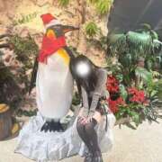 ヒメ日記 2025/01/22 12:04 投稿 君恋◆【GOLD+】 PLUMERIA（プルメリア）