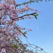 ヒメ日記 2025/04/09 23:34 投稿 ゆか AFTER V（アフターファイブ）