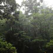 ヒメ日記 2025/04/01 08:18 投稿 ゆり AFTER V（アフターファイブ）