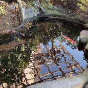 ヒメ日記 2025/04/04 09:45 投稿 ゆり AFTER V（アフターファイブ）