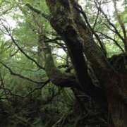 ヒメ日記 2025/05/31 09:36 投稿 ゆり AFTER V（アフターファイブ）