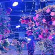 ヒメ日記 2025/06/17 00:01 投稿 ゆり AFTER V（アフターファイブ）