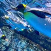 ヒメ日記 2025/08/21 14:00 投稿 ゆり AFTER V（アフターファイブ）