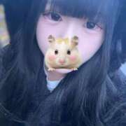 ヒメ日記 2026/02/07 19:09 投稿 カノン バニーコレクション千葉栄町店