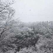 ヒメ日記 2025/03/20 21:53 投稿 めめ ノーハンドの人妻　上野店