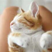 ヒメ日記 2025/03/06 19:29 投稿 あい 所沢デリヘル桜