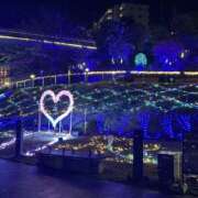 ヒメ日記 2025/12/14 23:12 投稿 あい 所沢デリヘル桜