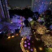 ヒメ日記 2026/03/31 03:18 投稿 ゆいか 品川ハイブリッドマッサージ