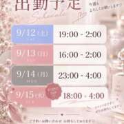 ヒメ日記 2026/09/08 01:58 投稿 ゆいか 品川ハイブリッドマッサージ
