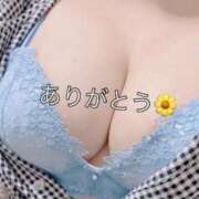 ヒメ日記 2025/04/17 17:02 投稿 にこ 熟女の風俗最終章 蒲田店