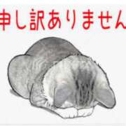 ヒメ日記 2024/12/08 10:48 投稿 のえる 熟女家 堺東店