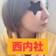 ヒメ日記 2025/02/21 08:06 投稿 西内社(にしうちやしろ) 姫路マダム大奥