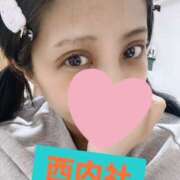 ヒメ日記 2025/04/09 05:01 投稿 西内社(にしうちやしろ) 姫路マダム大奥