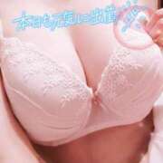 ヒメ日記 2025/01/30 09:15 投稿 のあ TALENT（タレント）