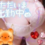 ヒメ日記 2025/01/30 20:02 投稿 のあ TALENT（タレント）