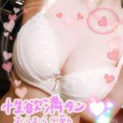 ヒメ日記 2025/02/21 20:43 投稿 のあ TALENT（タレント）