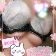 ヒメ日記 2025/02/26 09:24 投稿 のあ TALENT（タレント）