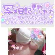 ヒメ日記 2025/04/03 20:31 投稿 のあ TALENT（タレント）