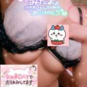 ヒメ日記 2025/04/08 20:04 投稿 のあ TALENT（タレント）