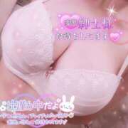 ヒメ日記 2025/04/12 20:01 投稿 のあ TALENT（タレント）