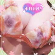 ヒメ日記 2025/04/16 09:01 投稿 のあ TALENT（タレント）