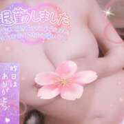 ヒメ日記 2025/04/17 01:52 投稿 のあ TALENT（タレント）