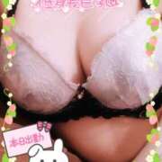 ヒメ日記 2025/04/20 09:02 投稿 のあ TALENT（タレント）