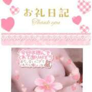 ヒメ日記 2025/04/20 09:15 投稿 のあ TALENT（タレント）