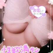 ヒメ日記 2025/04/21 19:59 投稿 のあ TALENT（タレント）