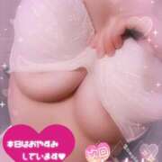 ヒメ日記 2025/06/08 09:00 投稿 のあ TALENT（タレント）