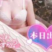 ヒメ日記 2025/06/19 09:01 投稿 のあ TALENT（タレント）