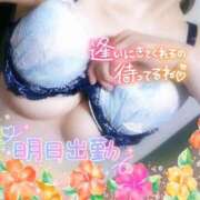 ヒメ日記 2025/07/20 19:48 投稿 のあ TALENT（タレント）