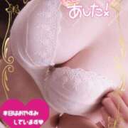 ヒメ日記 2025/07/29 09:01 投稿 のあ TALENT（タレント）