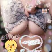 ヒメ日記 2025/09/04 09:45 投稿 のあ TALENT（タレント）