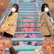 ヒメ日記 2025/03/22 19:46 投稿 あよん ビギナーズ神戸