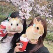 ヒメ日記 2025/04/11 19:35 投稿 あよん ビギナーズ神戸