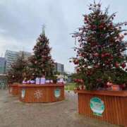 ヒメ日記 2025/12/30 21:19 投稿 ☆カンナ☆ ピンクコレクション大阪キタ店