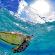 ☆カンナ☆ 生理休みです🥹🥹 ピンクコレクション大阪キタ店