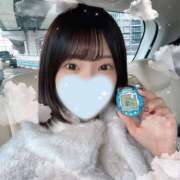 ヒメ日記 2024/12/21 13:27 投稿 いちか ピンクコレクション大阪キタ店