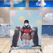 ヒメ日記 2025/10/05 15:02 投稿 いちか ピンクコレクション大阪キタ店