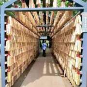 つばさ おでかけday 性の極み 技の伝道師 ver. 匠