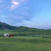 ヒメ日記 2025/06/02 16:04 投稿 りおな☆完全業界未経験 Ribbon 1st