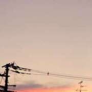 ヒメ日記 2025/08/02 13:21 投稿 みりや 奥様さくら難波店