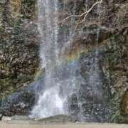 ヒメ日記 2025/10/05 11:01 投稿 みりや 奥様さくら難波店