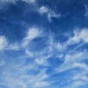 ヒメ日記 2026/01/12 11:11 投稿 みりや 奥様さくら難波店