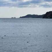 ヒメ日記 2026/02/01 11:01 投稿 みりや 奥様さくら難波店