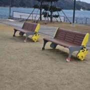 ヒメ日記 2026/02/07 13:01 投稿 みりや 奥様さくら難波店